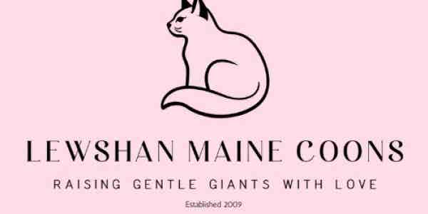 Lewshan Maine Coons logo